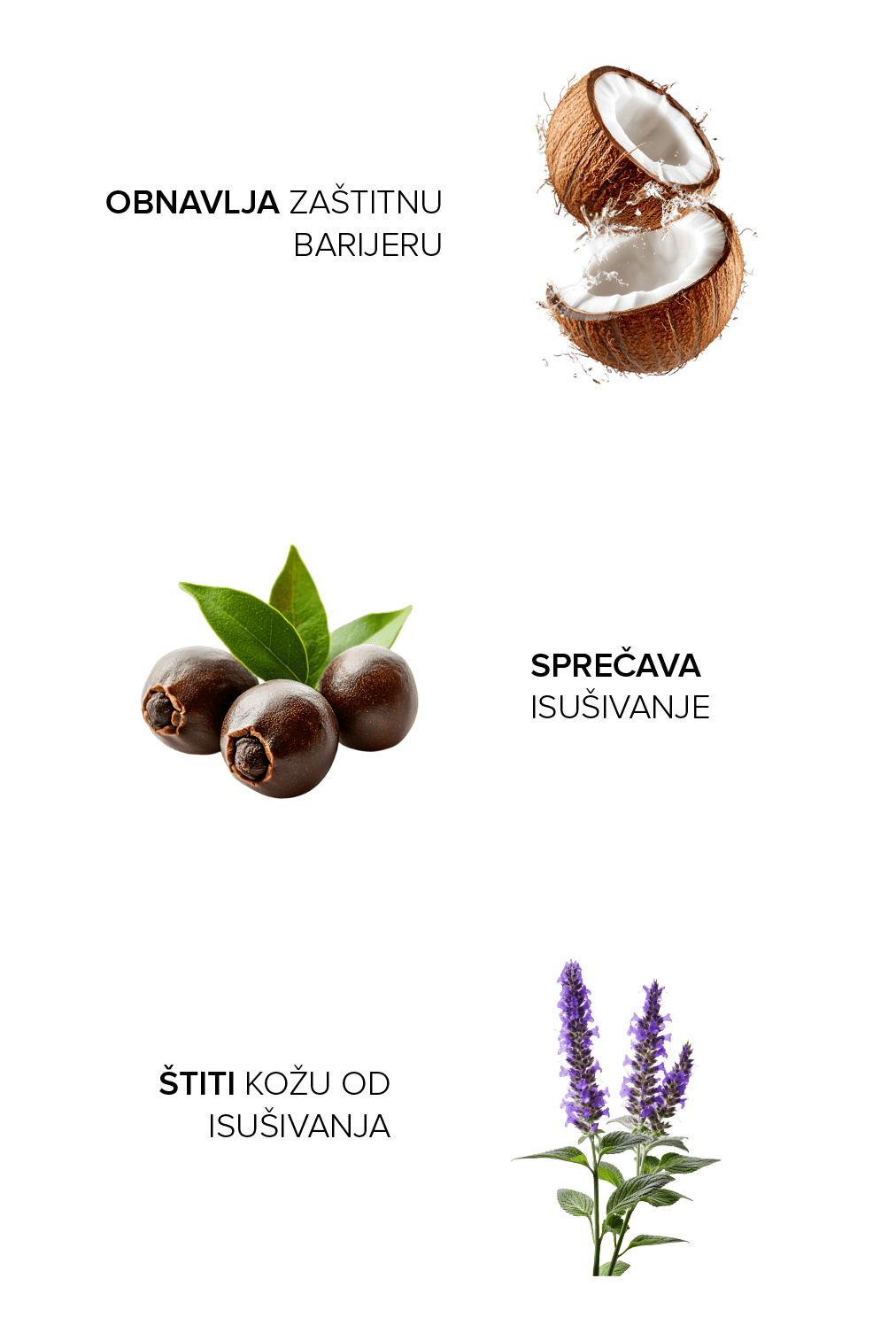 Sapun sastojci