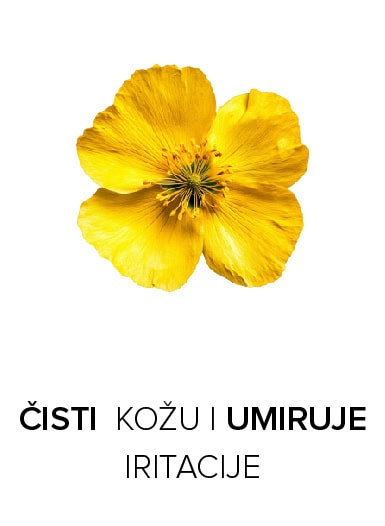 biljka rusa